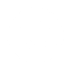 icon truck